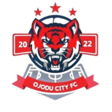 纽卡斯尔联